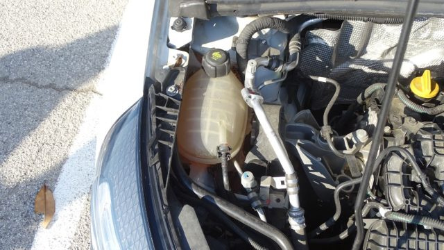 RENAULT Clio usata 125