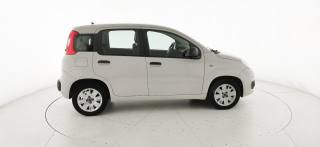 FIAT Panda usata, con ESP