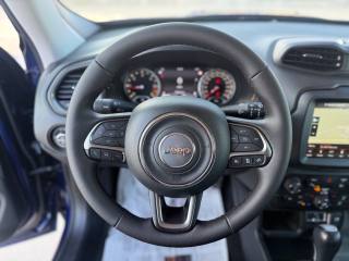 JEEP Renegade usata, con Airbag testa