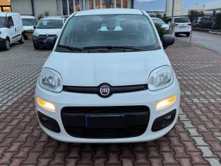 FIAT New Panda usata, con Airbag laterali