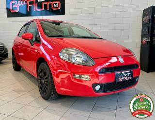 FIAT Punto usata, con Airbag Passeggero