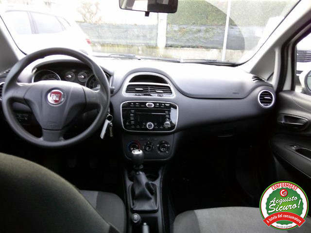 FIAT Punto usata 14