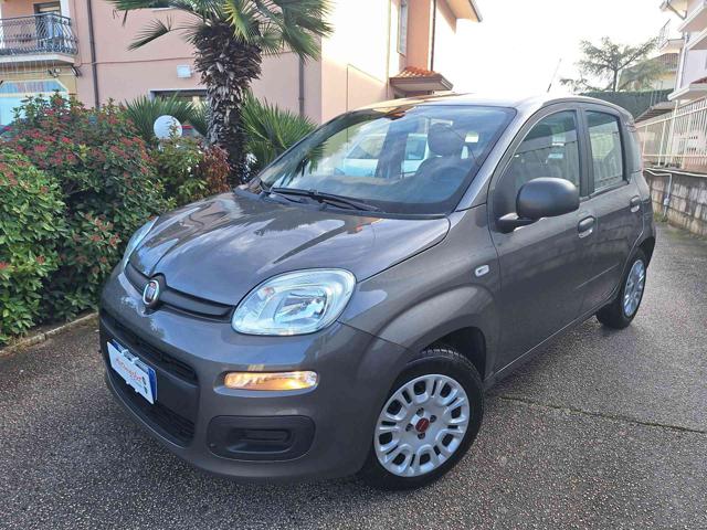 FIAT Panda usata, con Airbag testa