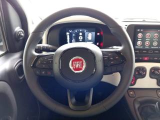 FIAT Panda Cross usata 24
