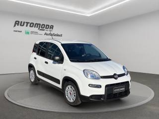 FIAT Panda usata, con Airbag Passeggero