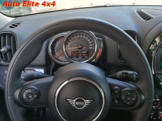 MINI Countryman usata, con Fendinebbia