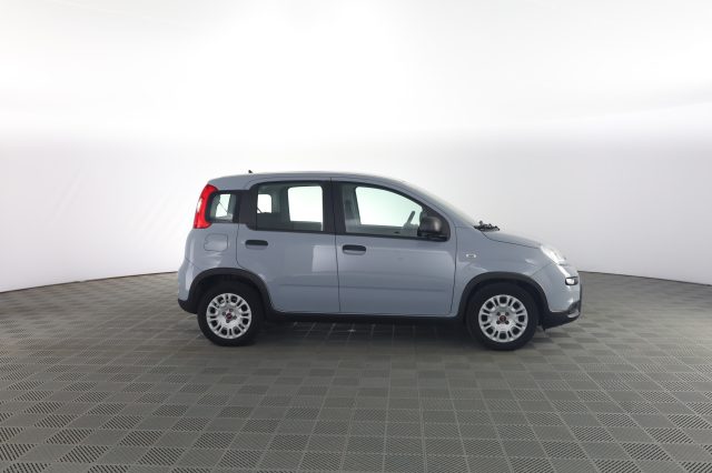 FIAT Panda usata 2
