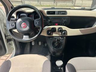 FIAT Panda usata, con Climatizzatore