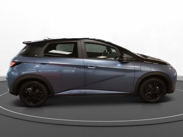 BYD Dolphin usata, con Autoradio
