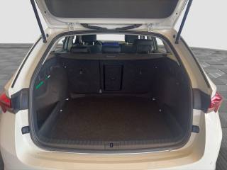 SKODA Octavia usata 12