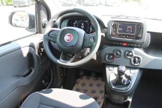 FIAT Panda usata, con Climatizzatore