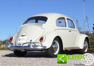 VOLKSWAGEN Maggiolino usata 4
