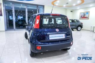 FIAT Panda usata, con Autoradio