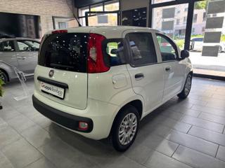 FIAT Panda usata, con Airbag Passeggero