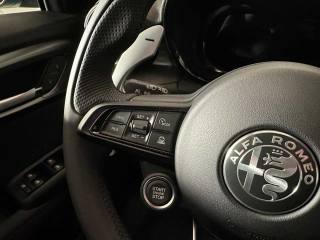 ALFA ROMEO Tonale usata 20
