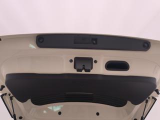 BYD Dolphin Surf usata, con Bracciolo