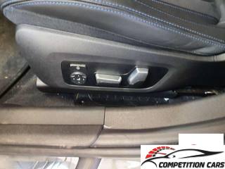 BMW 318 usata, con Fendinebbia