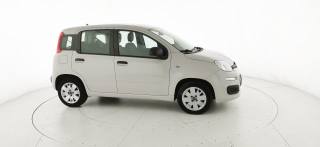 FIAT Panda usata 20