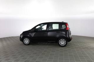 FIAT Panda usata 5