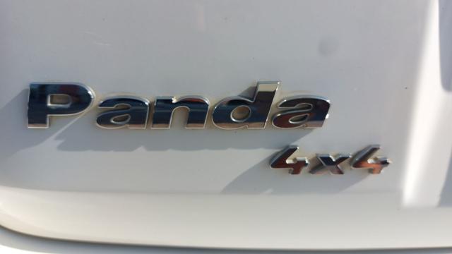 FIAT Panda usata 25