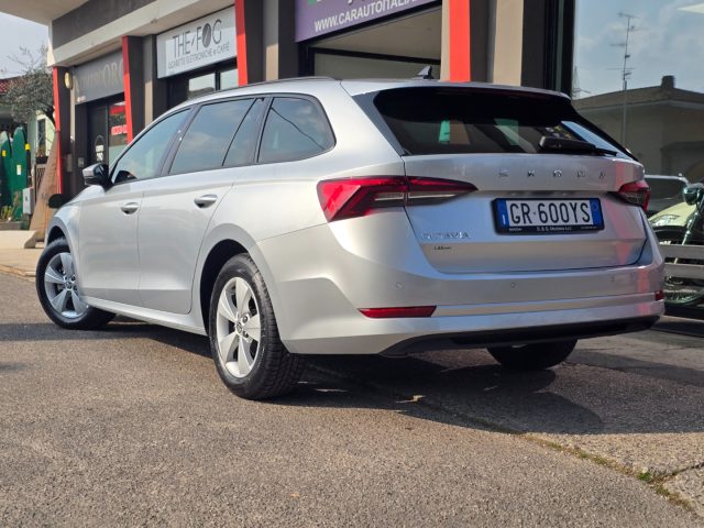 SKODA Octavia usata 106