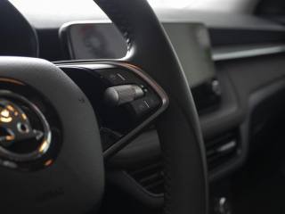 SKODA Fabia usata, con Specchietti laterali elettrici