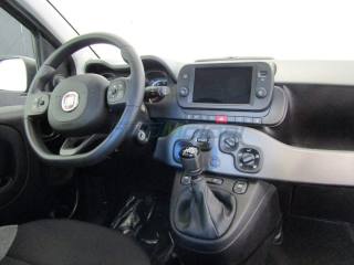 FIAT Panda usata, con Antifurto