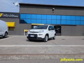 FIAT Panda usata 18