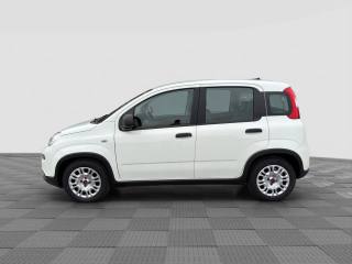 FIAT Panda usata 1