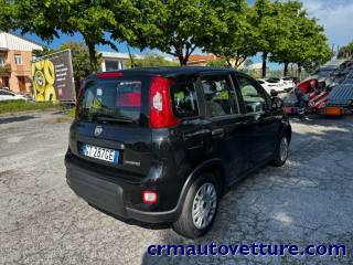 FIAT Panda usata, con Airbag