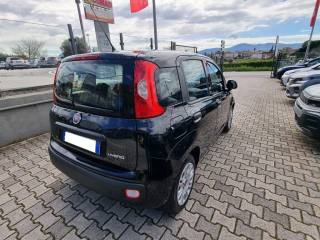 FIAT Panda usata, con Chiusura centralizzata