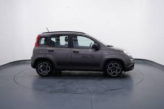 FIAT New Panda usata, con Volante multifunzione