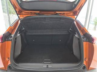 PEUGEOT 2008 usata, con Climatizzatore