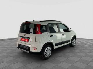 FIAT Panda usata 4
