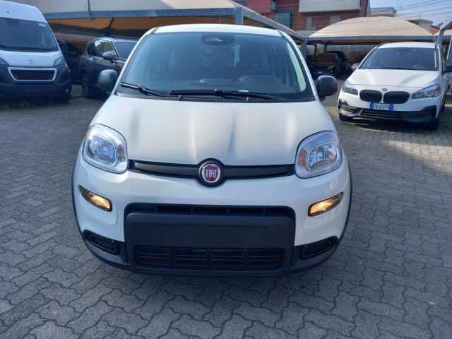 FIAT Panda usata, con ESP