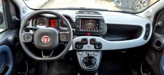 FIAT Panda Cross usata, con Autoradio digitale