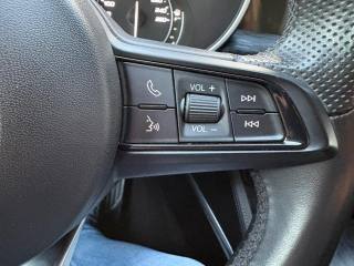 ALFA ROMEO Stelvio usata, con Fendinebbia