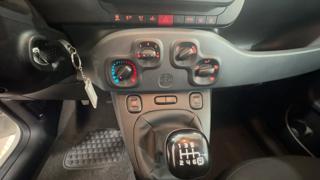 FIAT Panda Cross usata, con Controllo trazione