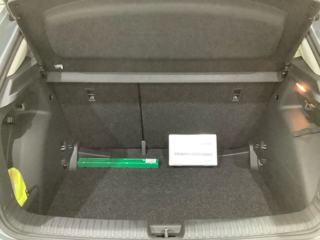 SKODA Fabia usata, con ESP