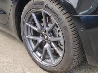 TESLA Model 3 usata, con Park Distance Control