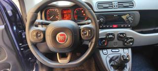 FIAT Panda usata, con ESP