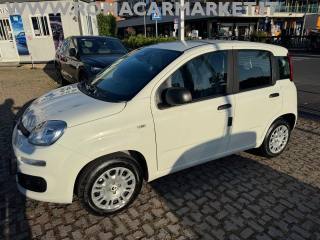FIAT Panda usata, con Chiusura centralizzata
