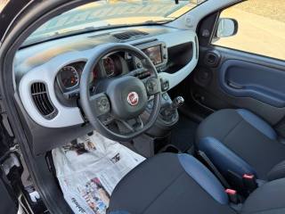 FIAT Panda Cross usata 17