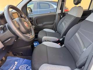 FIAT Panda usata, con Immobilizzatore elettronico