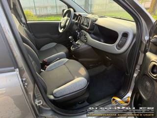 FIAT Panda usata, con Controllo trazione