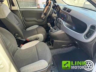 FIAT Panda usata 21