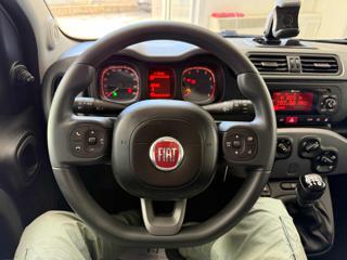 FIAT Panda usata, con Airbag testa