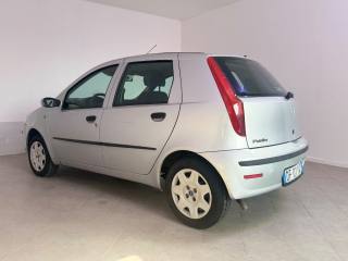 FIAT Punto usata 6
