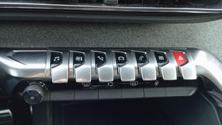PEUGEOT 5008 usata, con Vivavoce