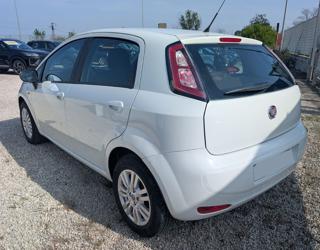 FIAT Punto usata, con Airbag Passeggero